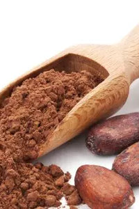 CACAO DEL GELATIERE (CACAO 22/24 POWDER)